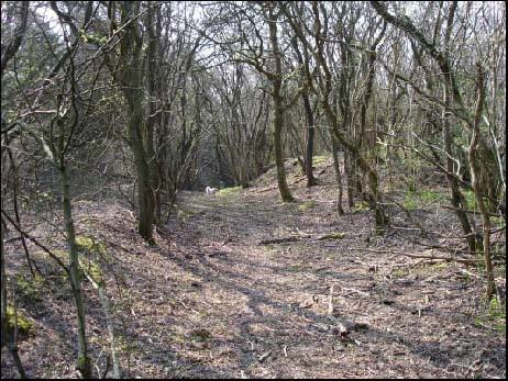 Plate 4, The tub line causeway running south from the mine entrance Plate 5, Looking down the gravity incline